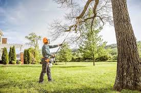  Concord, MO Tree Removal Services Pros